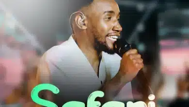 Paul Clement - Safari