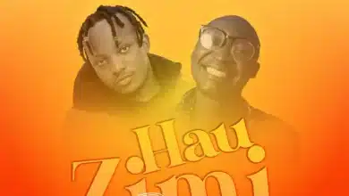 Ben Will Ft Chidi Benz - Hauzimi (REMIX)