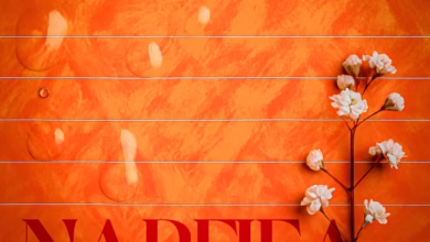 Nacha Ft. Linex - Narejea