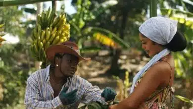 Harmonize & Mbosso - Leo (Official Music Video)