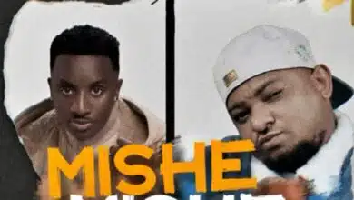 Centano ft Stamina - Mishemishe II