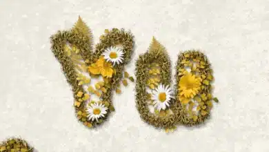 Sanja Kong Ft Udede - Yu