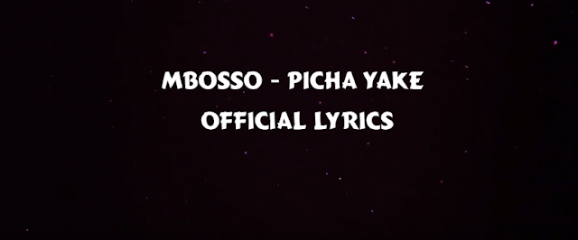 VIDEO | Mbosso - Picha Yake (Official Lyrics)