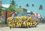 Hapa Ni Wapi By Suma Mnazaleti Ft. Chino Kidd & Gerkey