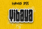 Hamis Bss - Vibaya