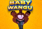 Mzee Wa Bwax Ft. Meja Kunta - Baby Wangu