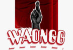 P Mawenge - Waongo