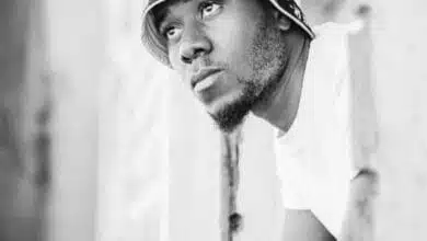 Dizasta Vina - Theluji