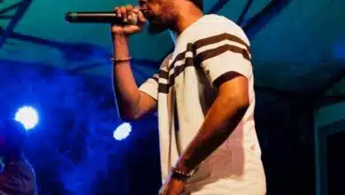 Dizasta Vina - Tukusa Chamber 3 IV